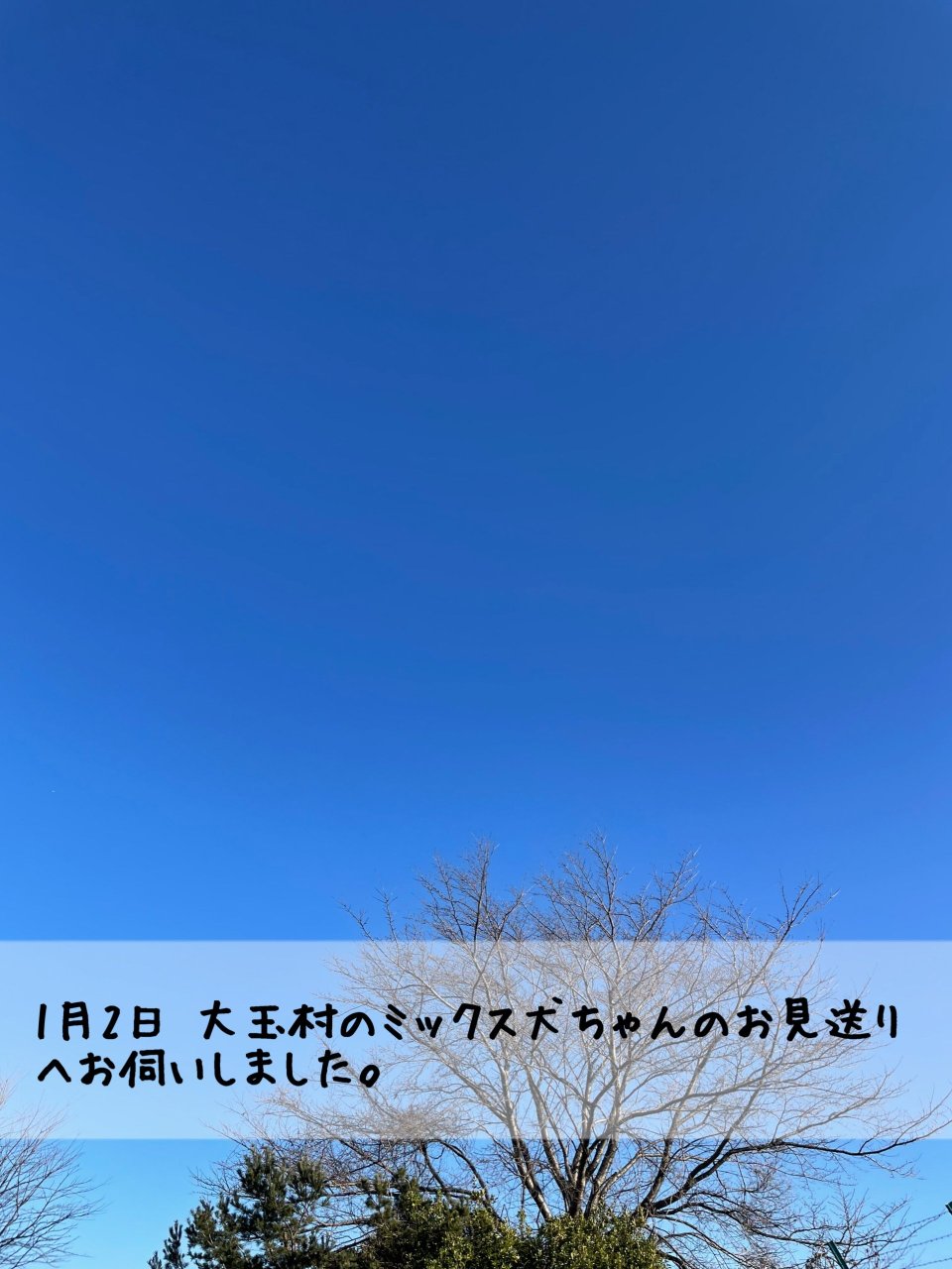 ペット訪問火葬 一縁(いちえん) | 福島市・葬儀・出張・供養