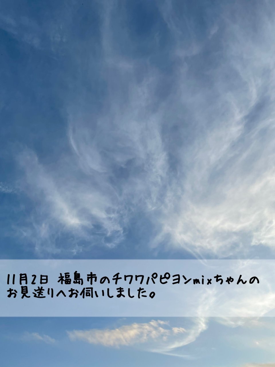 ペット訪問火葬 一縁(いちえん) | 福島市・葬儀・出張・供養