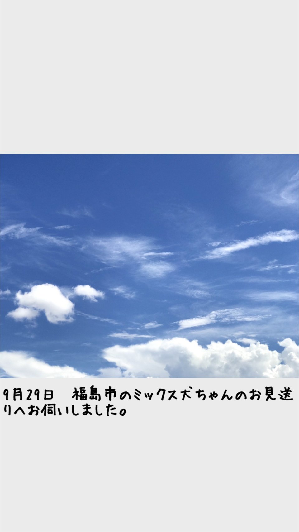 ペット訪問火葬 一縁(いちえん) | 福島市・葬儀・出張・供養