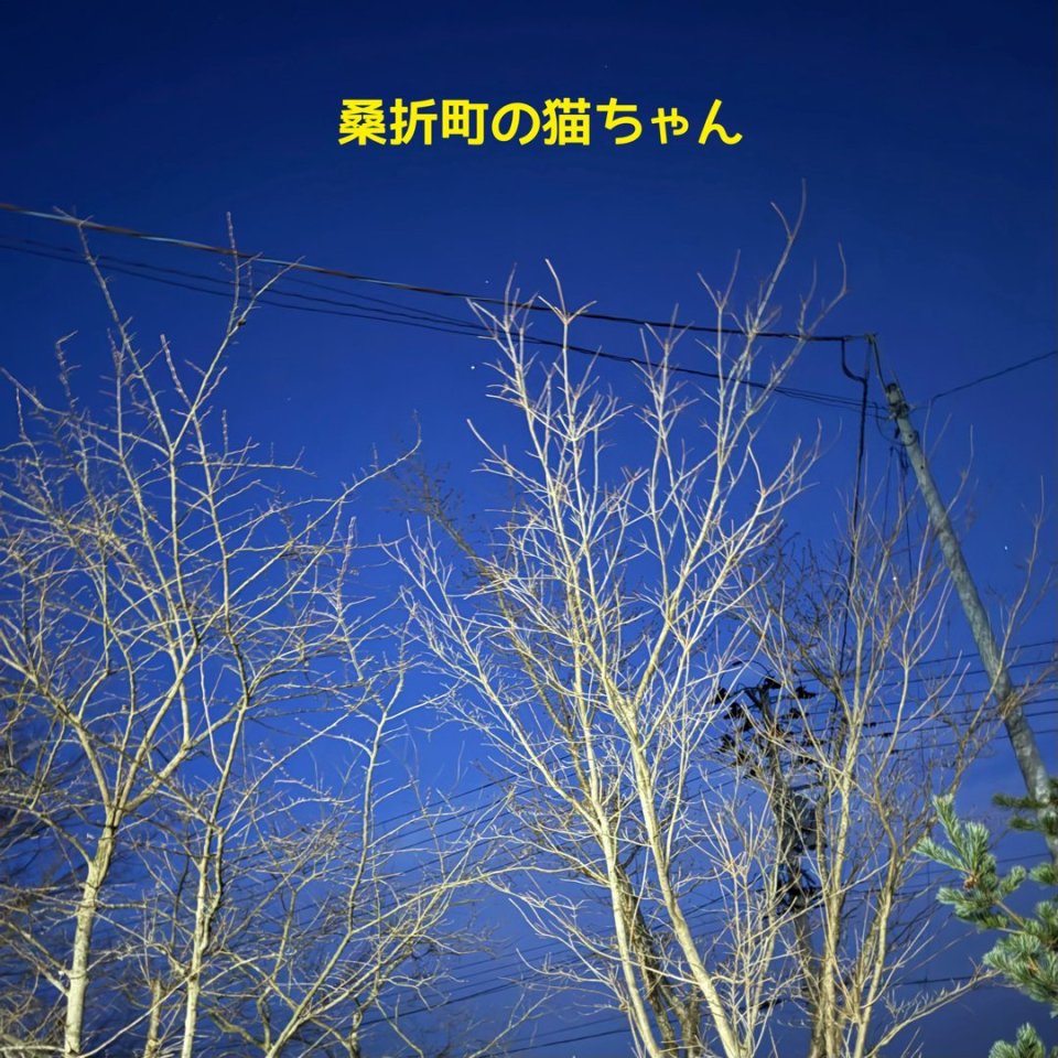 ペット訪問火葬 一縁(いちえん) | 福島市・葬儀・出張・供養