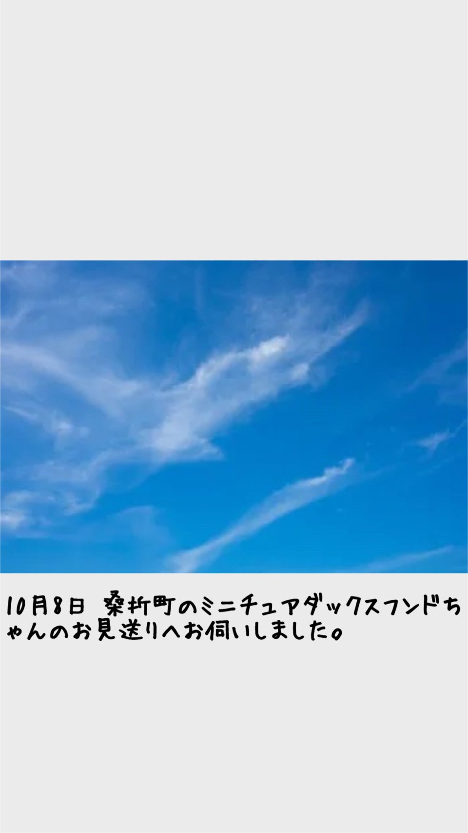 ペット訪問火葬 一縁(いちえん) | 福島市・葬儀・出張・供養