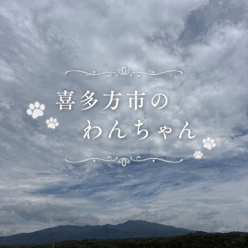 福島ペット訪問火葬 一縁(いちえん) | 葬儀・出張・供養