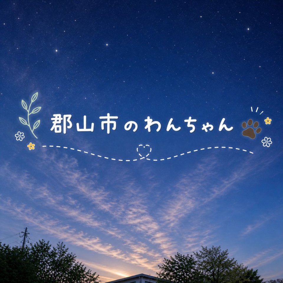 福島ペット訪問火葬 一縁(いちえん) | 葬儀・出張・供養