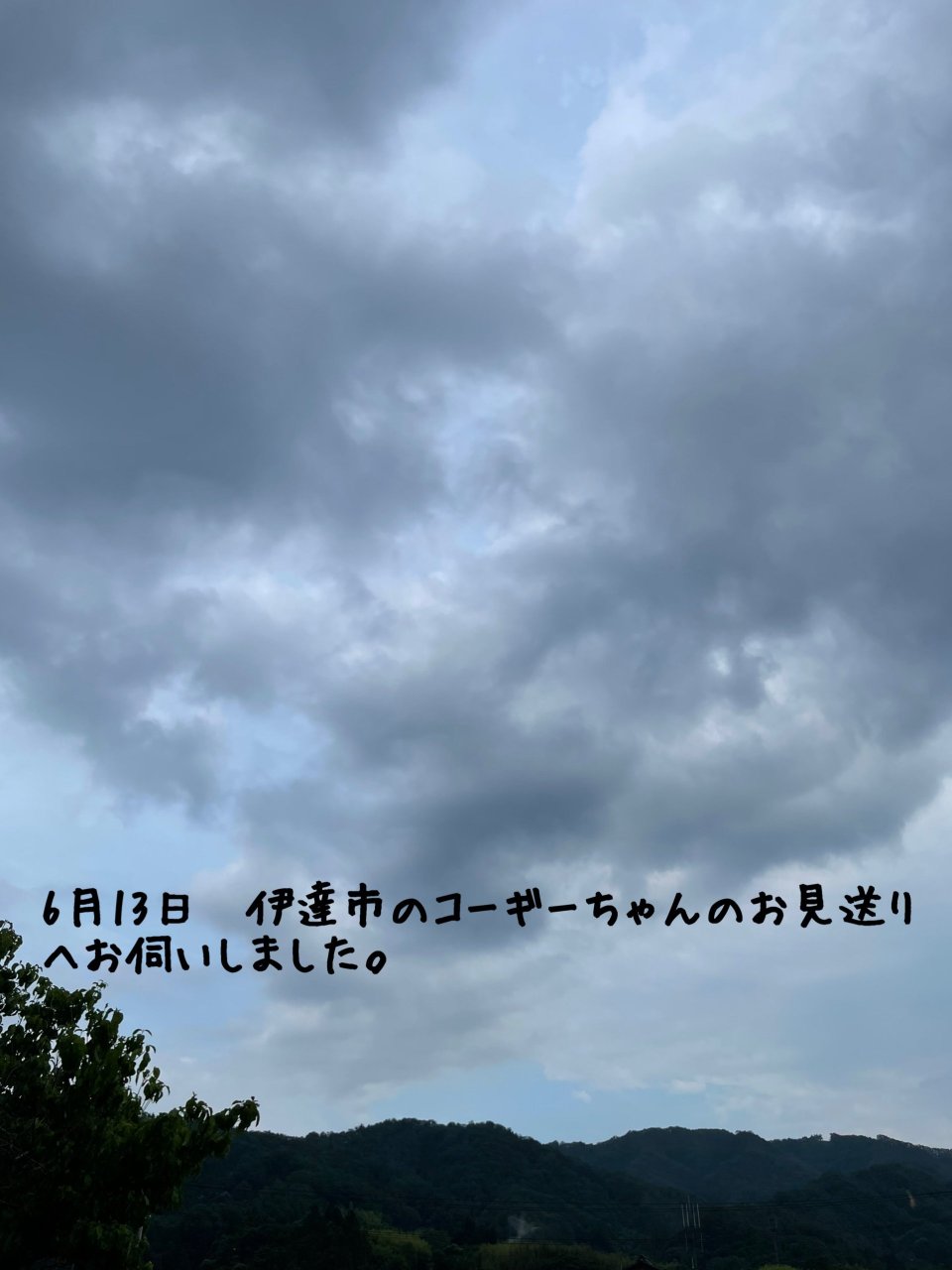 ペット訪問火葬 一縁(いちえん) | 福島市・葬儀・出張・供養