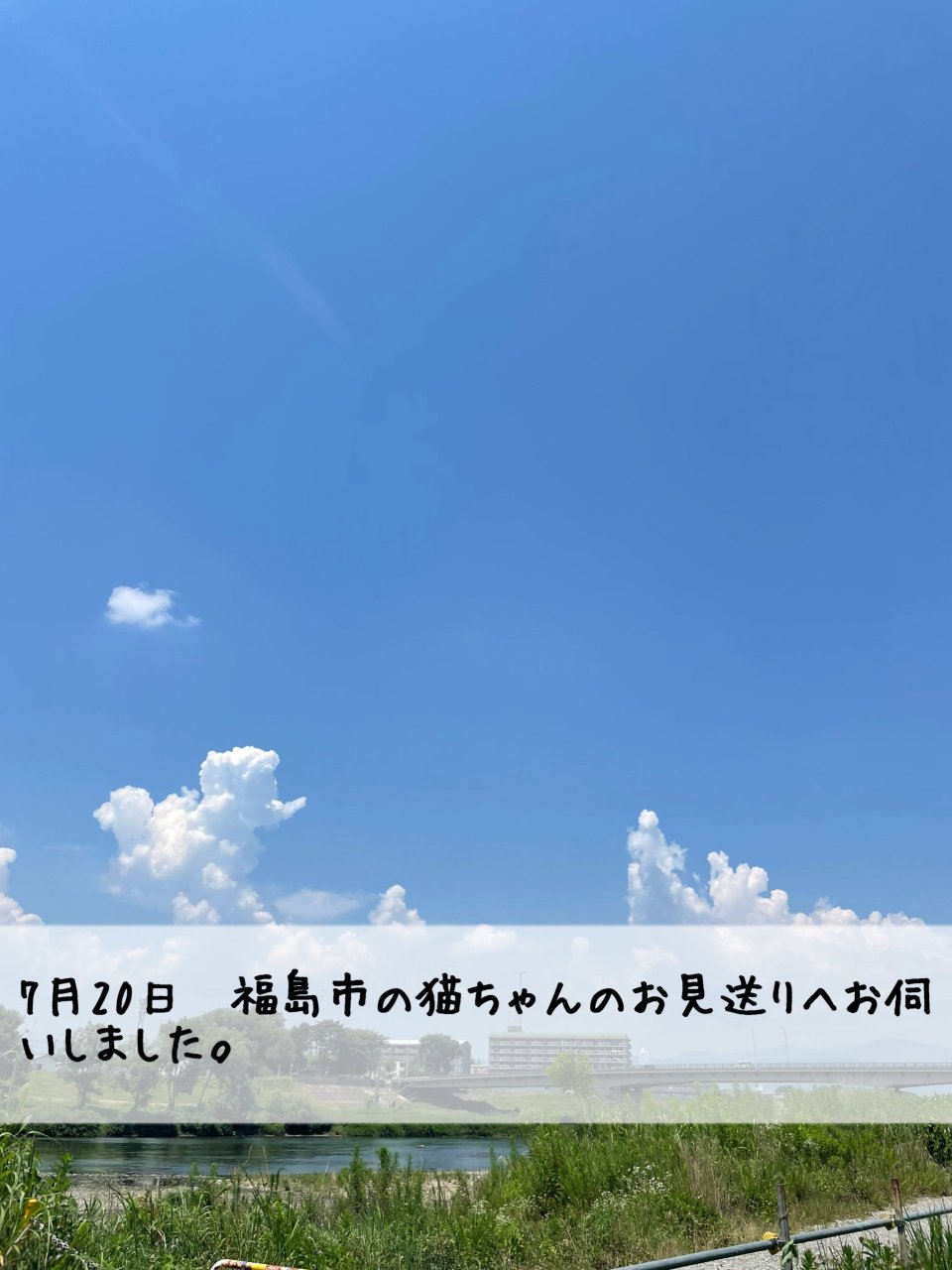 ペット訪問火葬 一縁(いちえん) | 福島市・葬儀・出張・供養