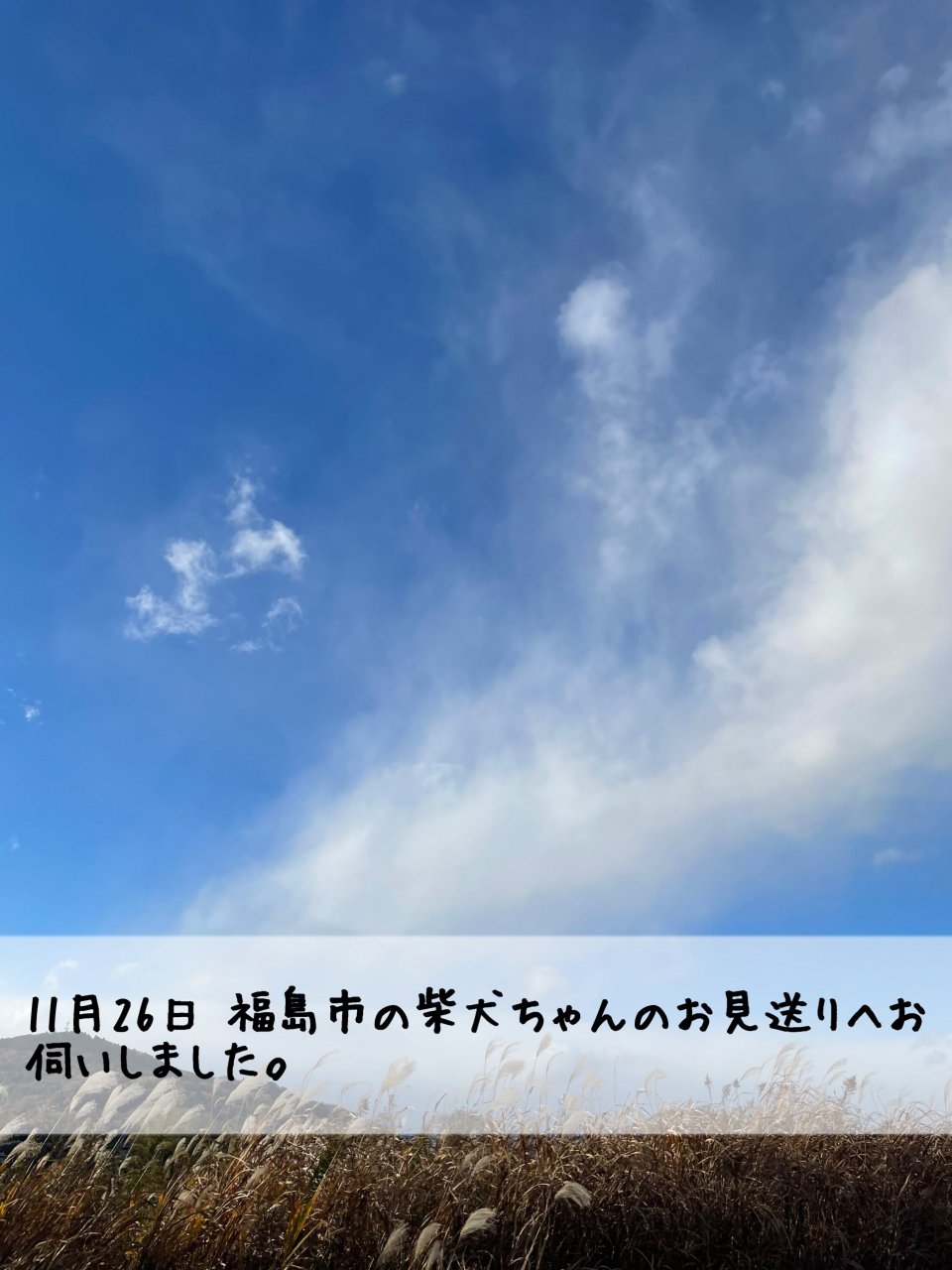 ペット訪問火葬 一縁(いちえん) | 福島市・葬儀・出張・供養