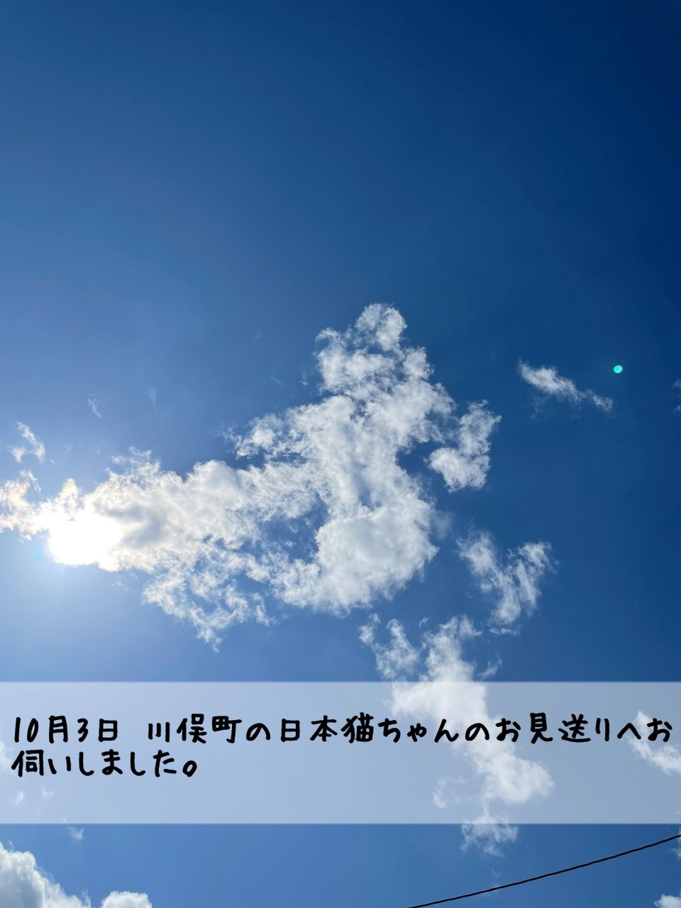 ペット訪問火葬 一縁(いちえん) | 福島市・葬儀・出張・供養