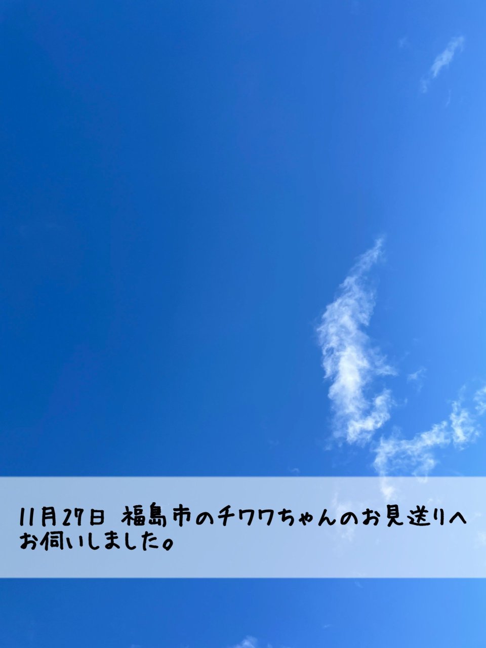 ペット訪問火葬 一縁(いちえん) | 福島市・葬儀・出張・供養