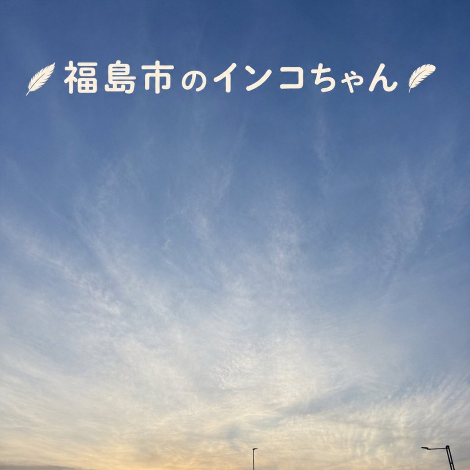 福島ペット訪問火葬 一縁(いちえん) | 葬儀・出張・供養