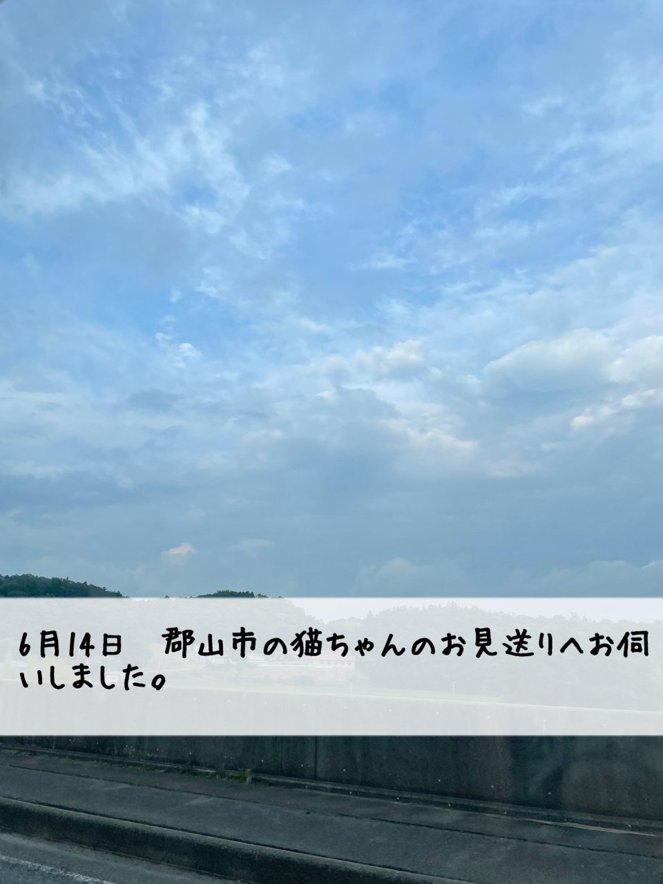 ペット訪問火葬 一縁(いちえん) | 福島市・葬儀・出張・供養