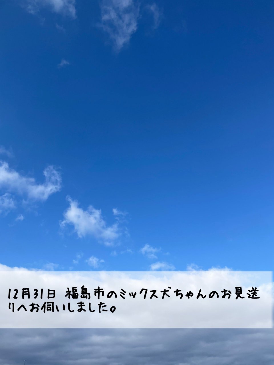 ペット訪問火葬 一縁(いちえん) | 福島市・葬儀・出張・供養