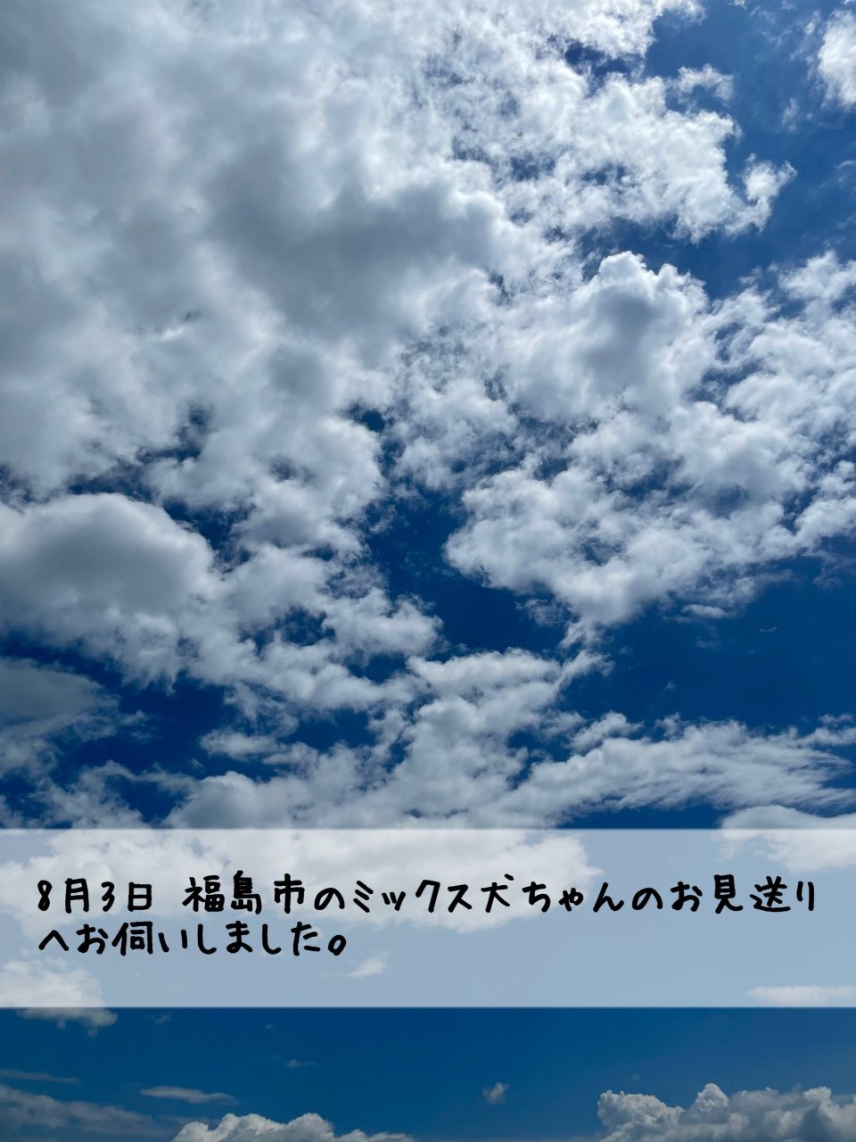 ペット訪問火葬 一縁(いちえん) | 福島市・葬儀・出張・供養