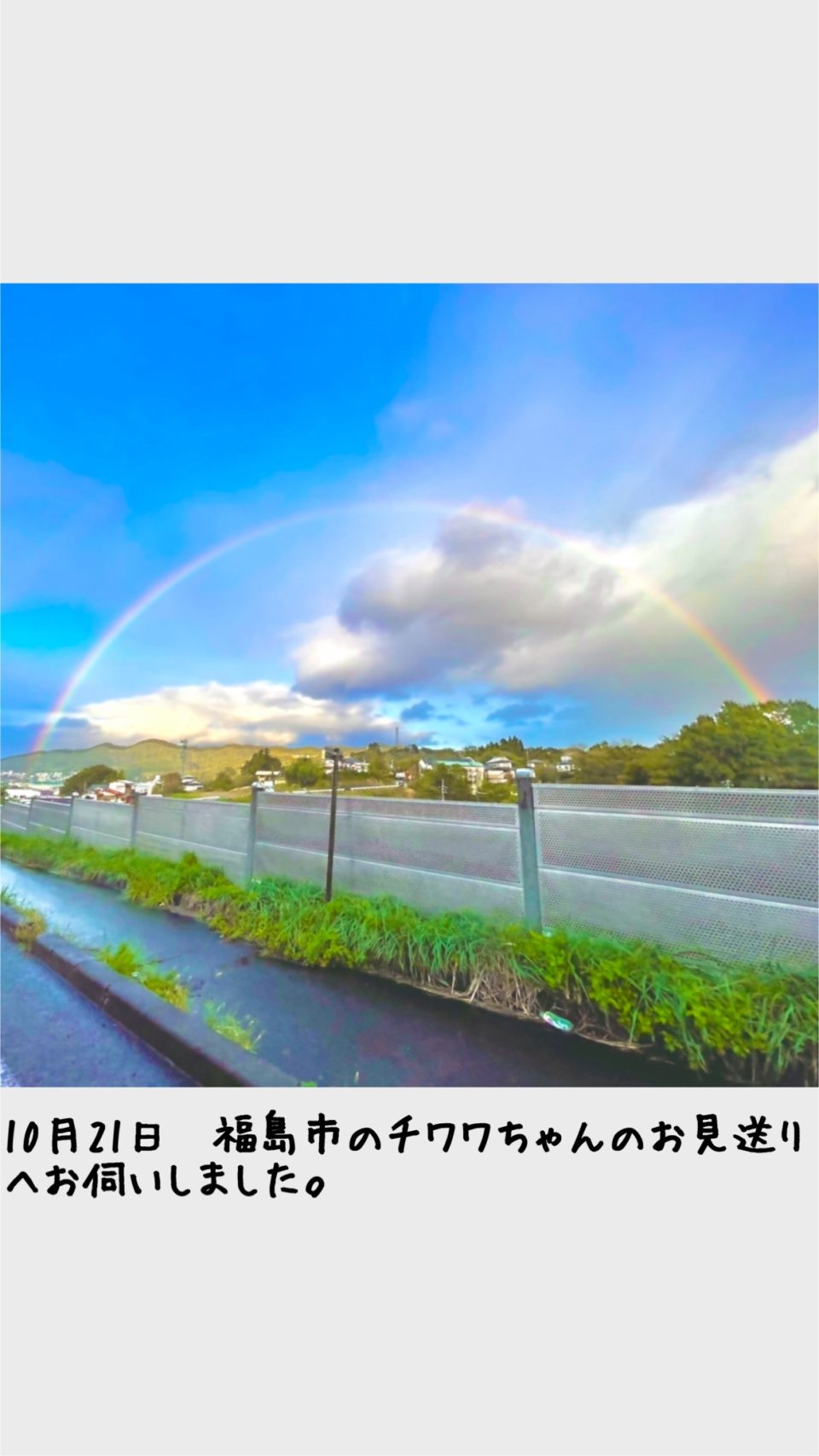 ペット訪問火葬 一縁(いちえん) | 福島市・葬儀・出張・供養