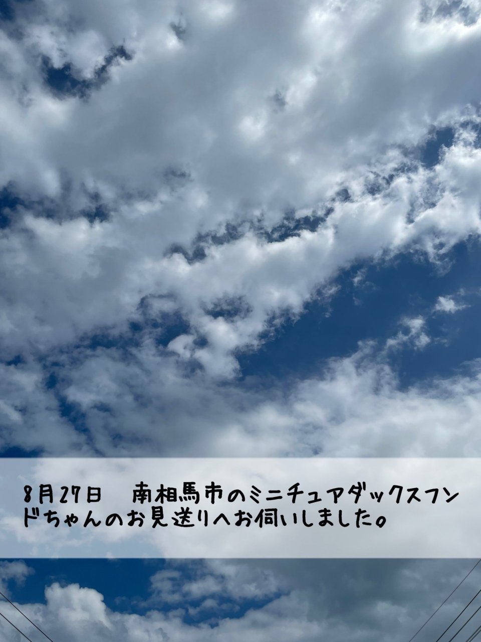 ペット訪問火葬 一縁(いちえん) | 福島市・葬儀・出張・供養