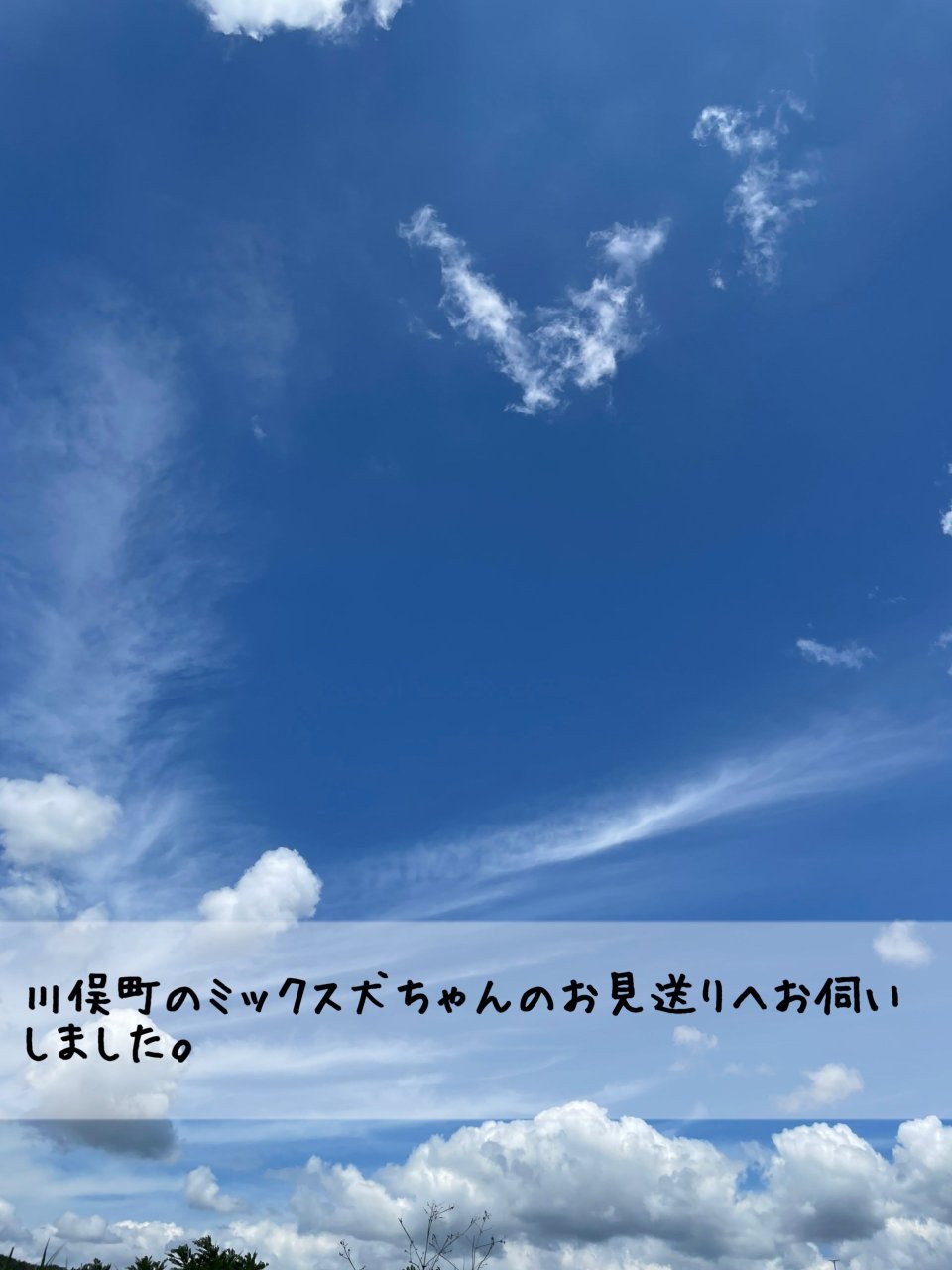 ペット訪問火葬 一縁(いちえん) | 福島市・葬儀・出張・供養