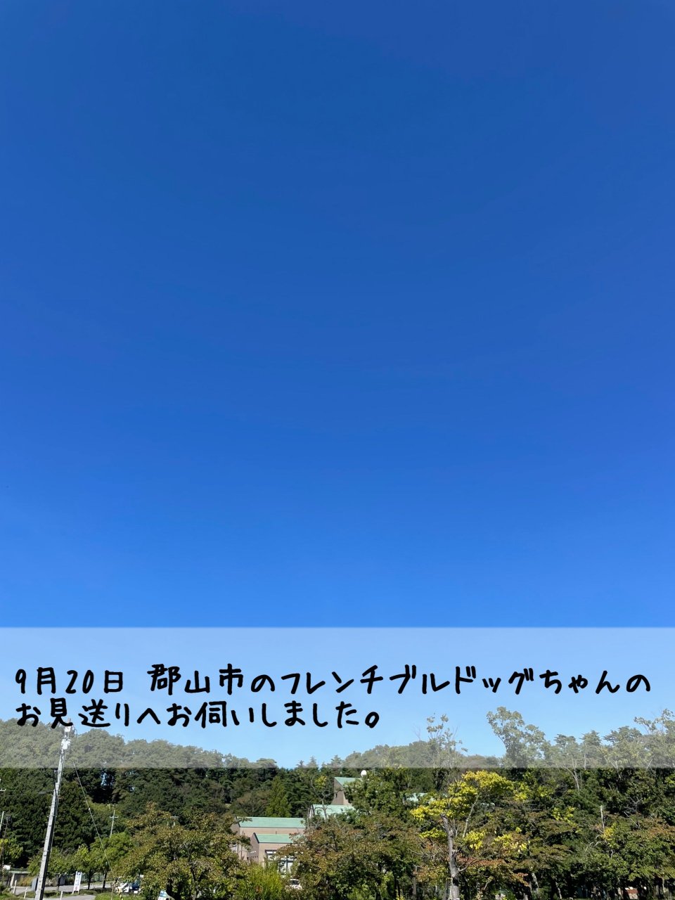 ペット訪問火葬 一縁(いちえん) | 福島市・葬儀・出張・供養