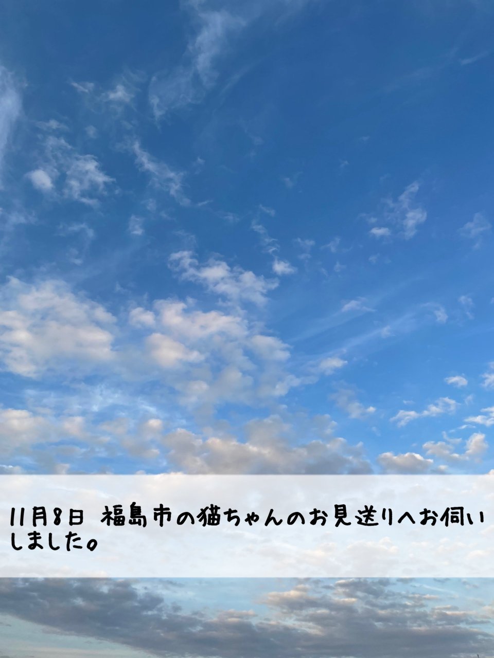 ペット訪問火葬 一縁(いちえん) | 福島市・葬儀・出張・供養