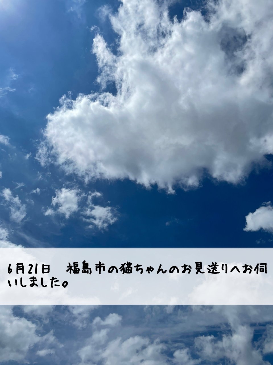 ペット訪問火葬 一縁(いちえん) | 福島市・葬儀・出張・供養