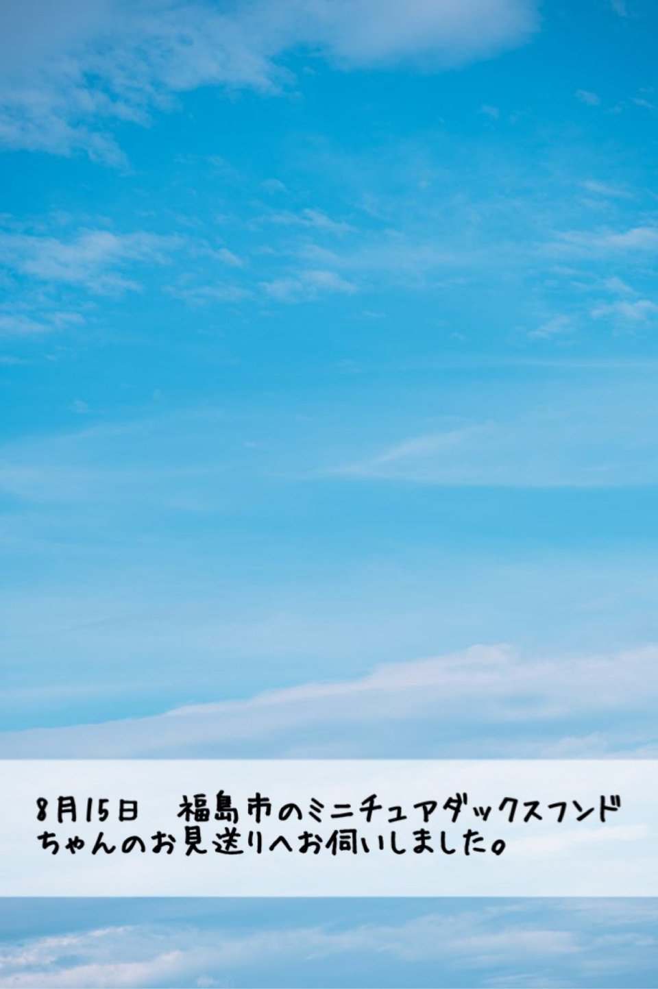ペット訪問火葬 一縁(いちえん) | 福島市・葬儀・出張・供養