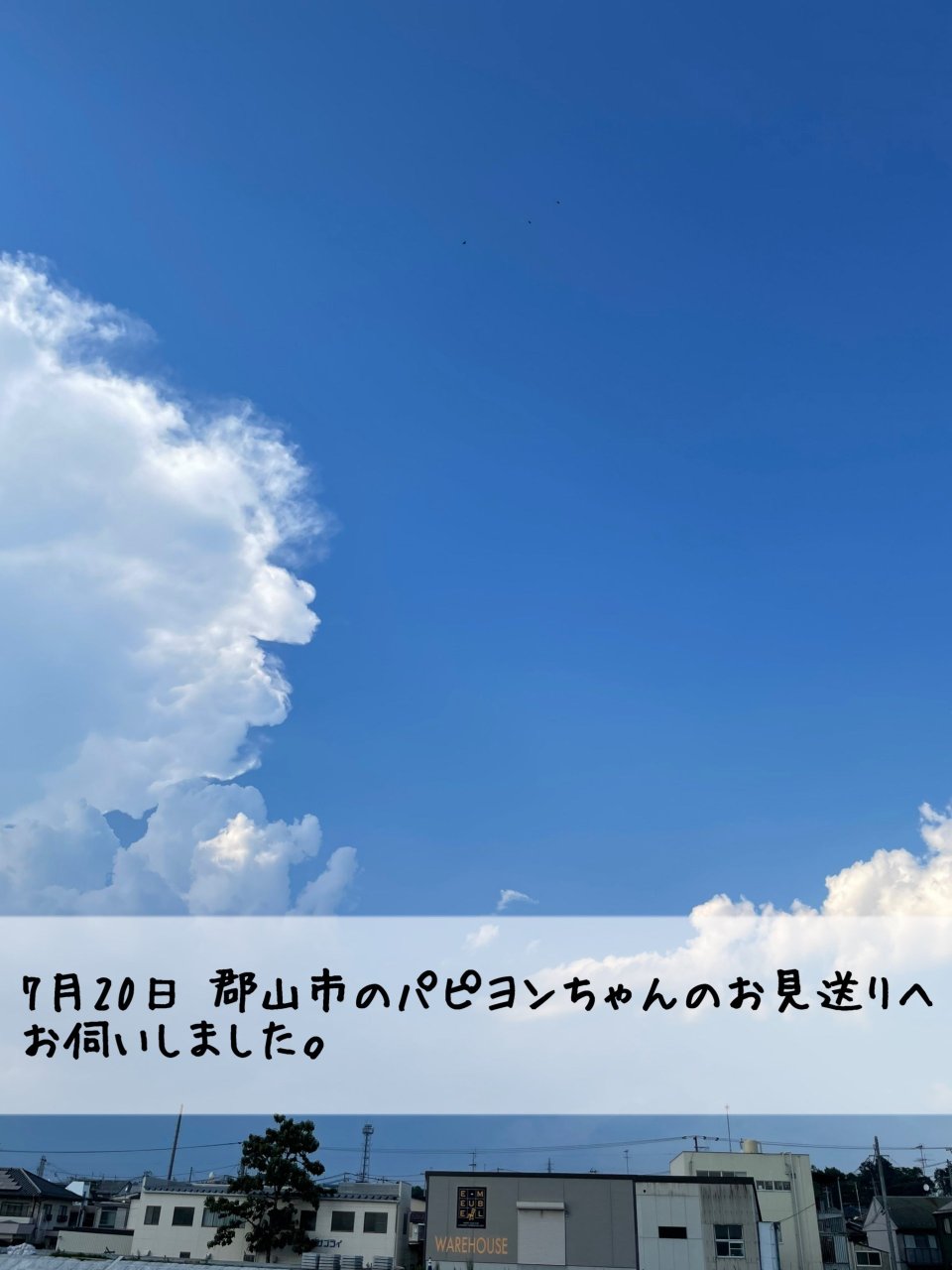 ペット訪問火葬 一縁(いちえん) | 福島市・葬儀・出張・供養