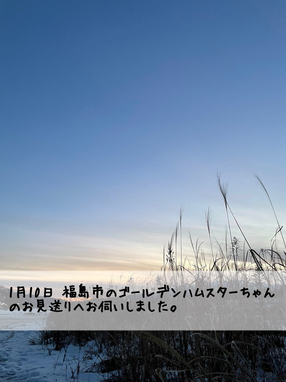 ペット訪問火葬 一縁(いちえん) | 福島市・葬儀・出張・供養
