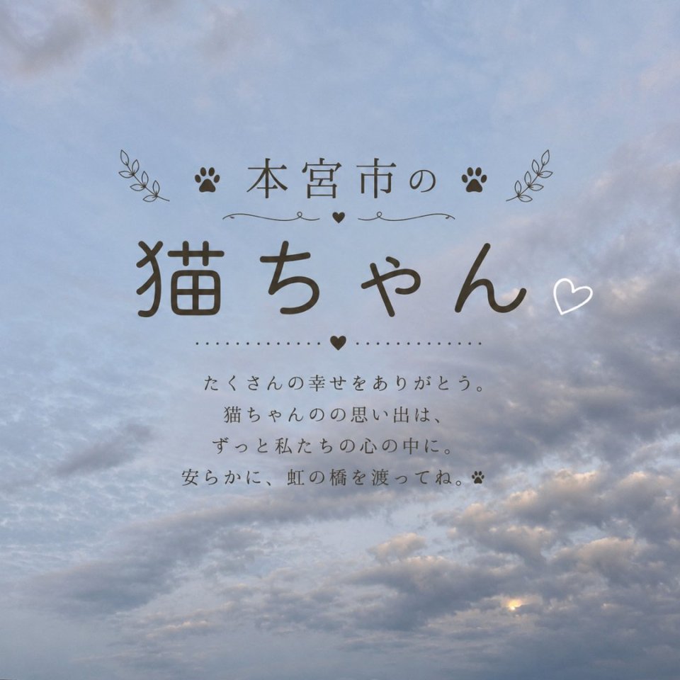 福島ペット訪問火葬 一縁(いちえん) | 葬儀・出張・供養