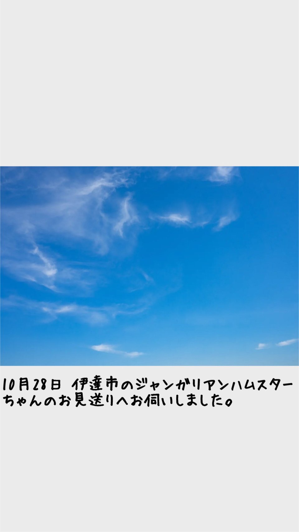 ペット訪問火葬 一縁(いちえん) | 福島市・葬儀・出張・供養