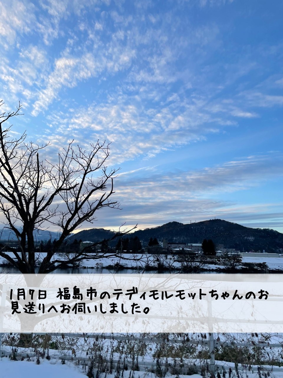 ペット訪問火葬 一縁(いちえん) | 福島市・葬儀・出張・供養