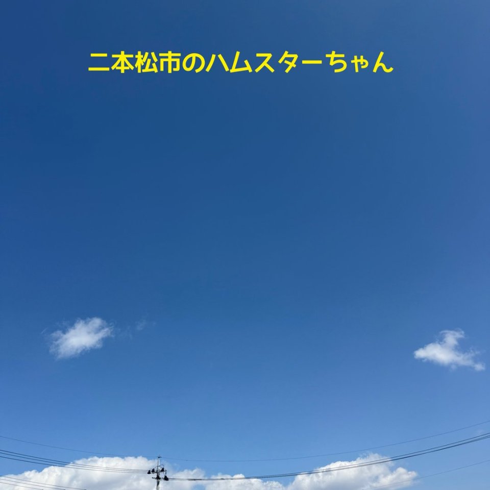 福島ペット訪問火葬 一縁(いちえん) | 葬儀・出張・供養