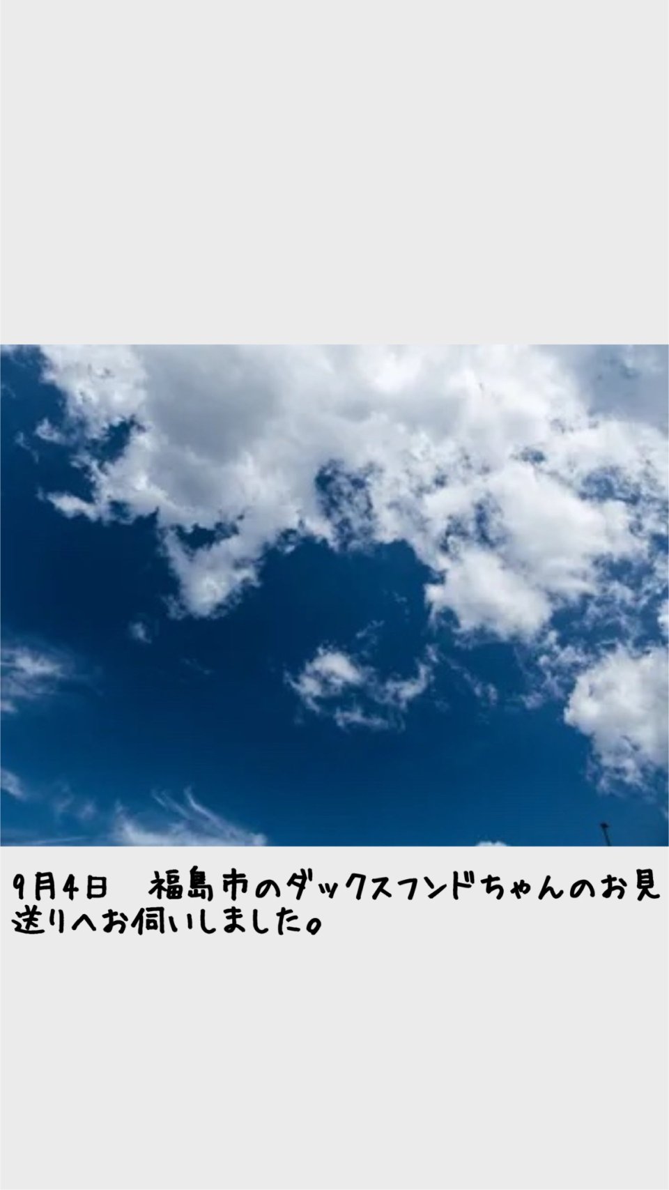 ペット訪問火葬 一縁(いちえん) | 福島市・葬儀・出張・供養