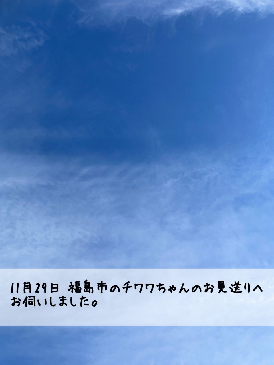 ペット訪問火葬 一縁(いちえん) | 福島市・葬儀・出張・供養