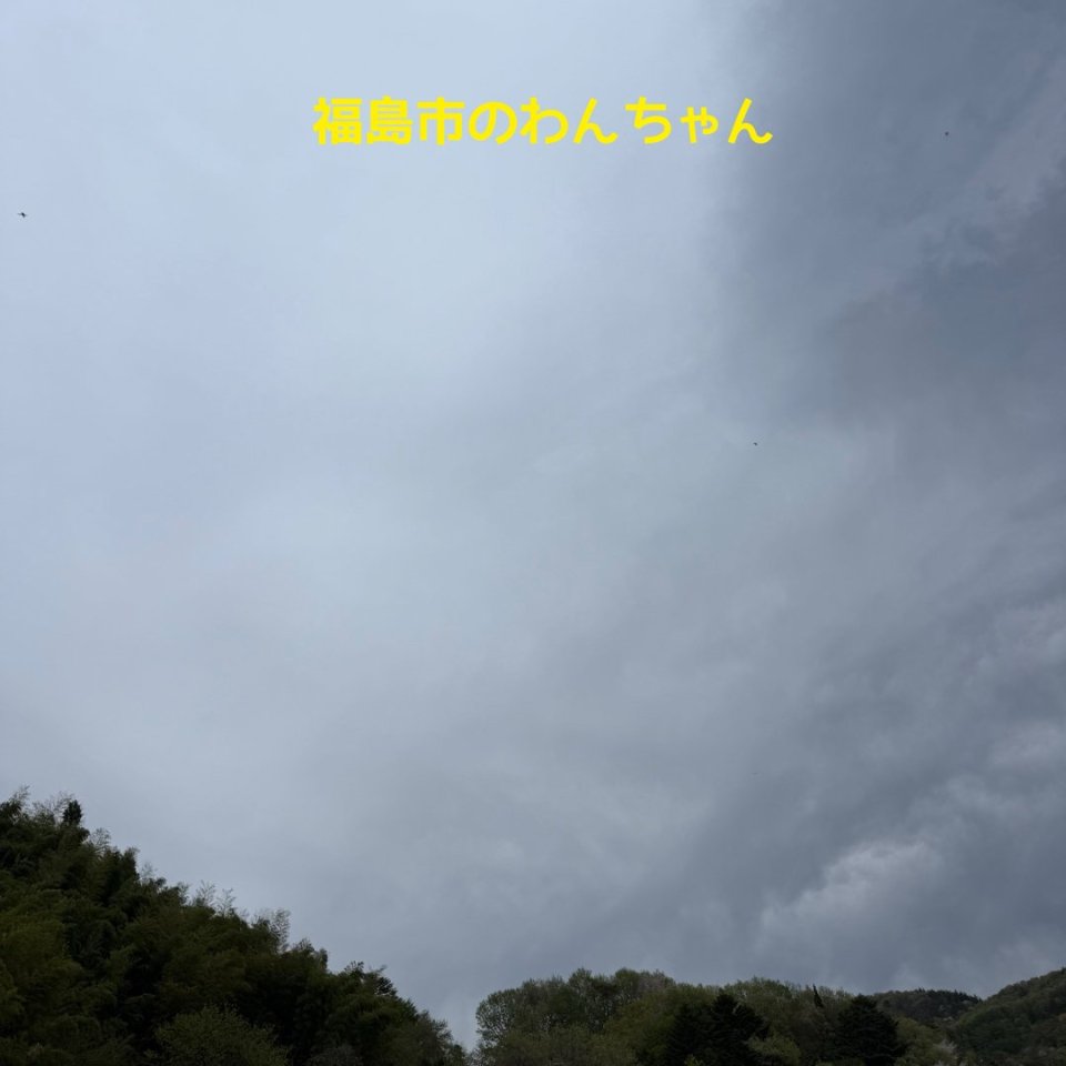 福島ペット訪問火葬 一縁(いちえん) | 葬儀・出張・供養