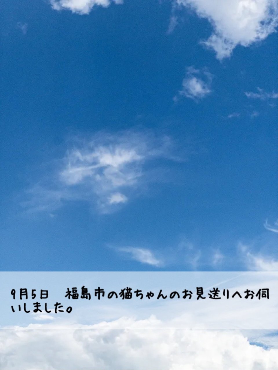 ペット訪問火葬 一縁(いちえん) | 福島市・葬儀・出張・供養