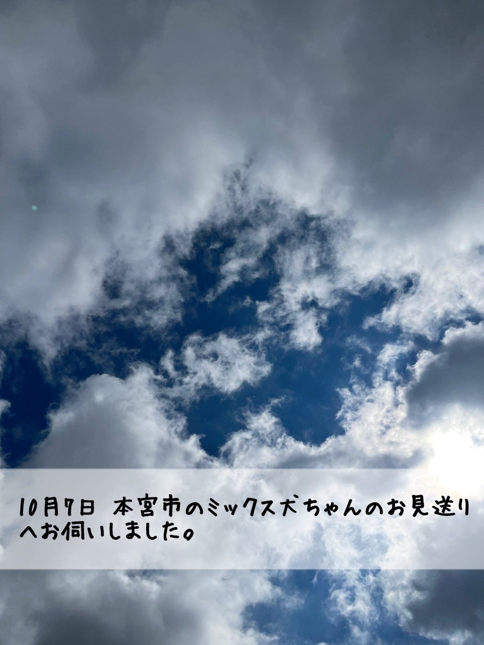 ペット訪問火葬 一縁(いちえん) | 福島市・葬儀・出張・供養