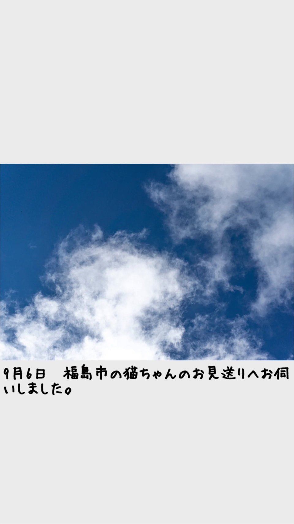 ペット訪問火葬 一縁(いちえん) | 福島市・葬儀・出張・供養