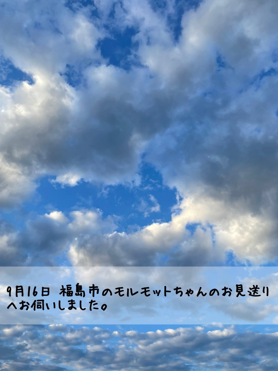 ペット訪問火葬 一縁(いちえん) | 福島市・葬儀・出張・供養