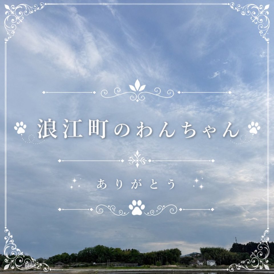 福島ペット訪問火葬 一縁(いちえん) | 葬儀・出張・供養