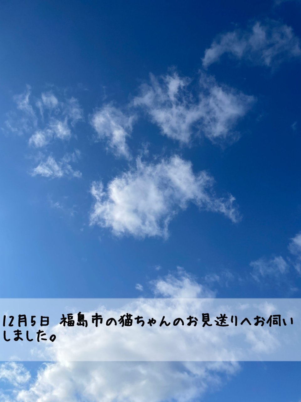 ペット訪問火葬 一縁(いちえん) | 福島市・葬儀・出張・供養