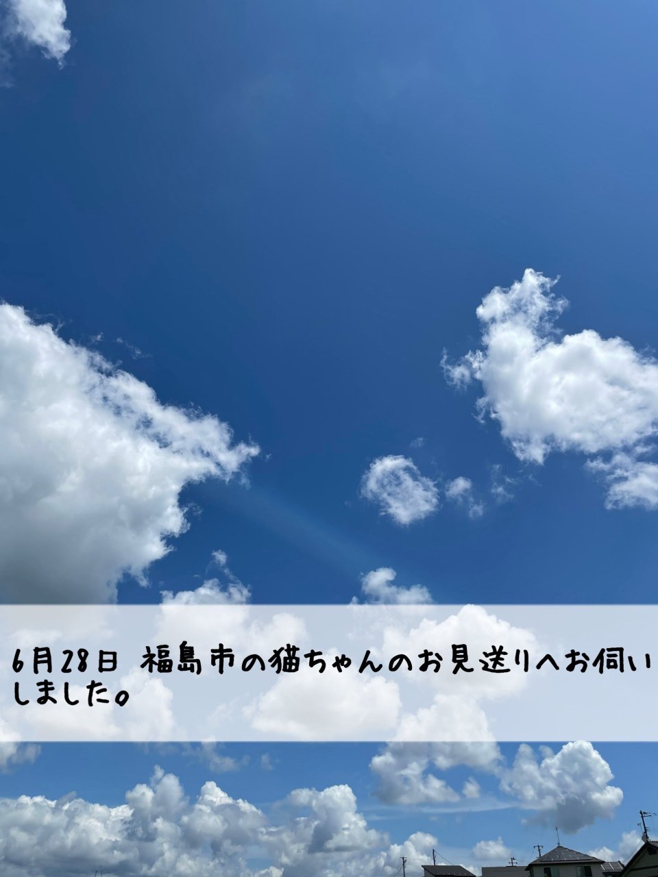 ペット訪問火葬 一縁(いちえん) | 福島市・葬儀・出張・供養
