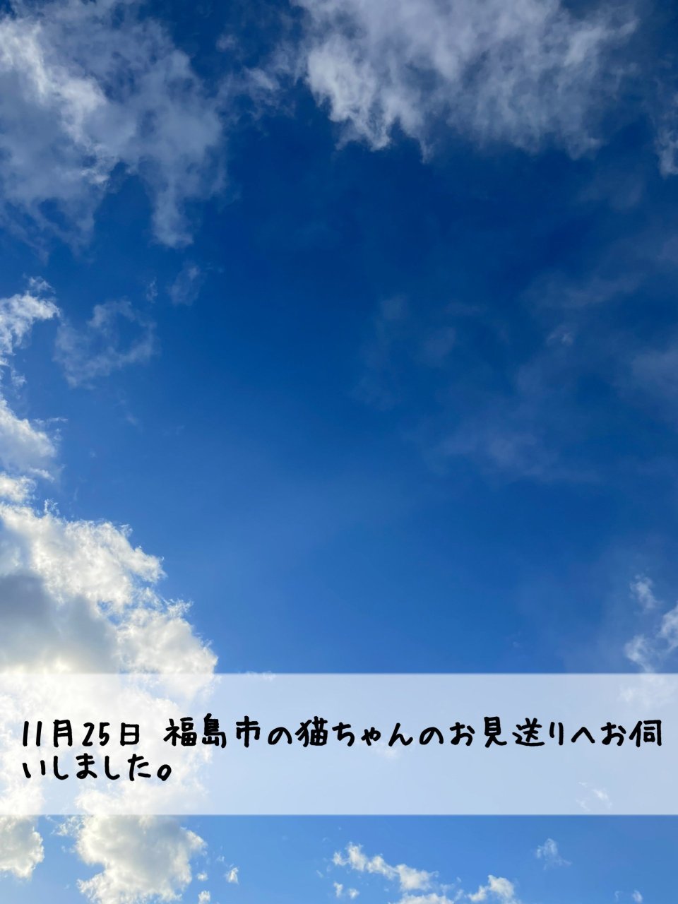 ペット訪問火葬 一縁(いちえん) | 福島市・葬儀・出張・供養