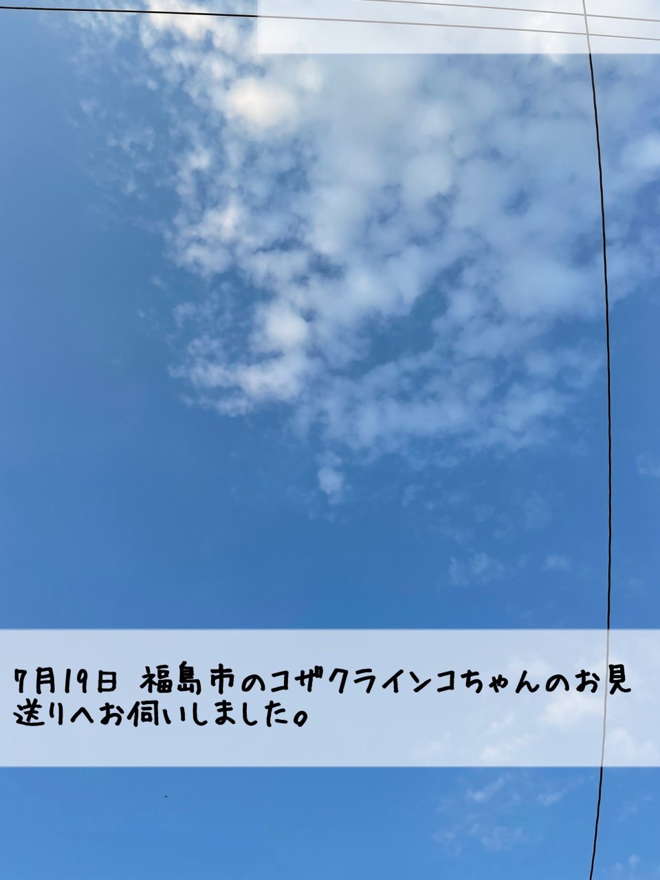 ペット訪問火葬 一縁(いちえん) | 福島市・葬儀・出張・供養