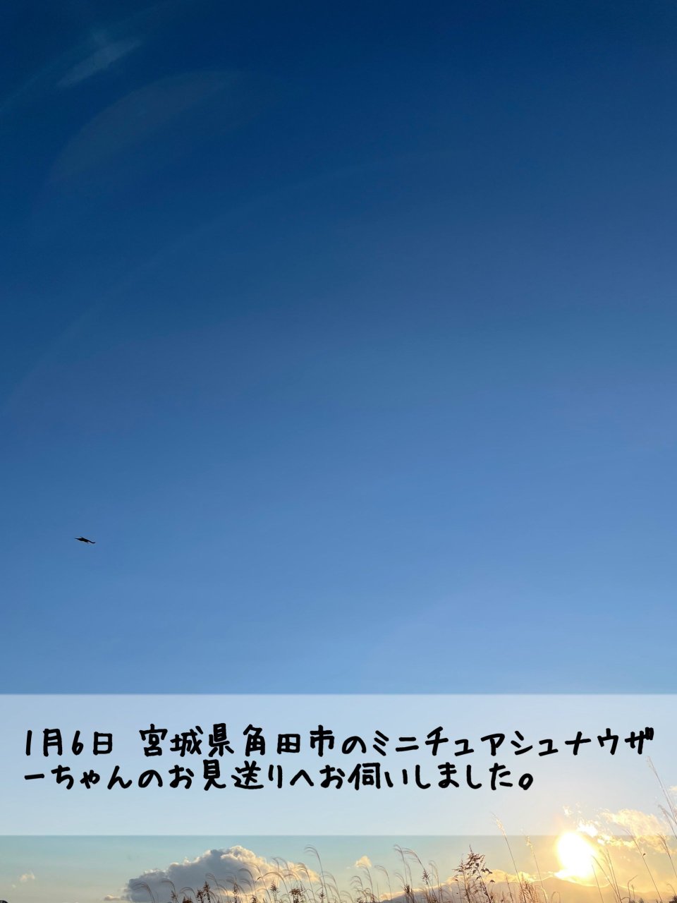 ペット訪問火葬 一縁(いちえん) | 福島市・葬儀・出張・供養