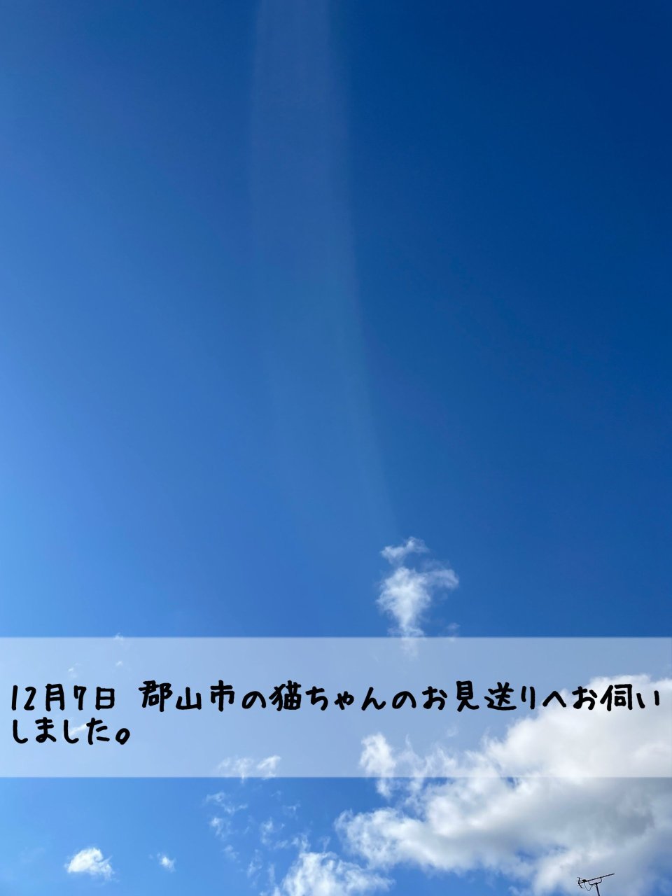 ペット訪問火葬 一縁(いちえん) | 福島市・葬儀・出張・供養