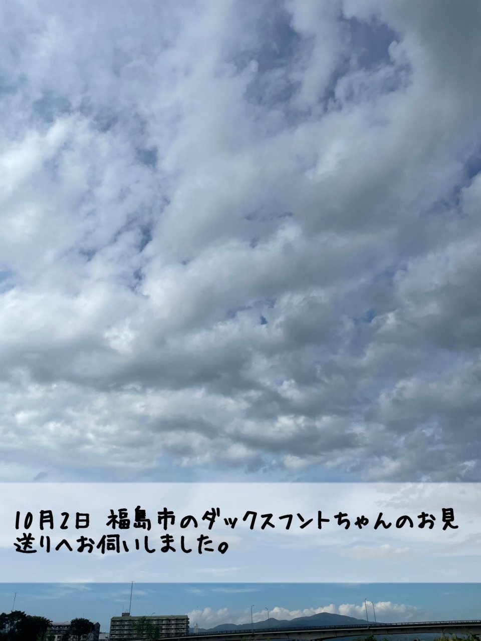 ペット訪問火葬 一縁(いちえん) | 福島市・葬儀・出張・供養