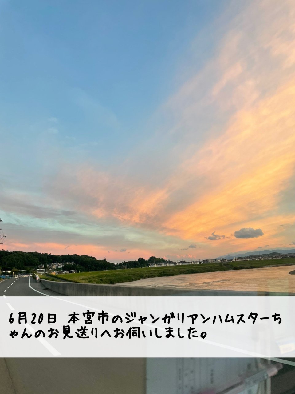 ペット訪問火葬 一縁(いちえん) | 福島市・葬儀・出張・供養