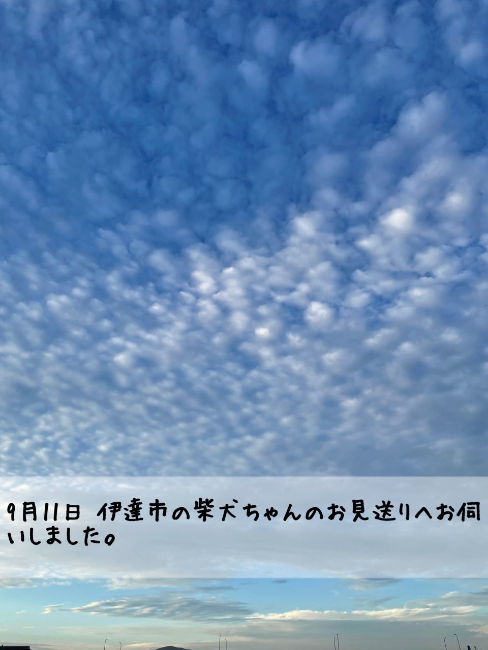 ペット訪問火葬 一縁(いちえん) | 福島市・葬儀・出張・供養