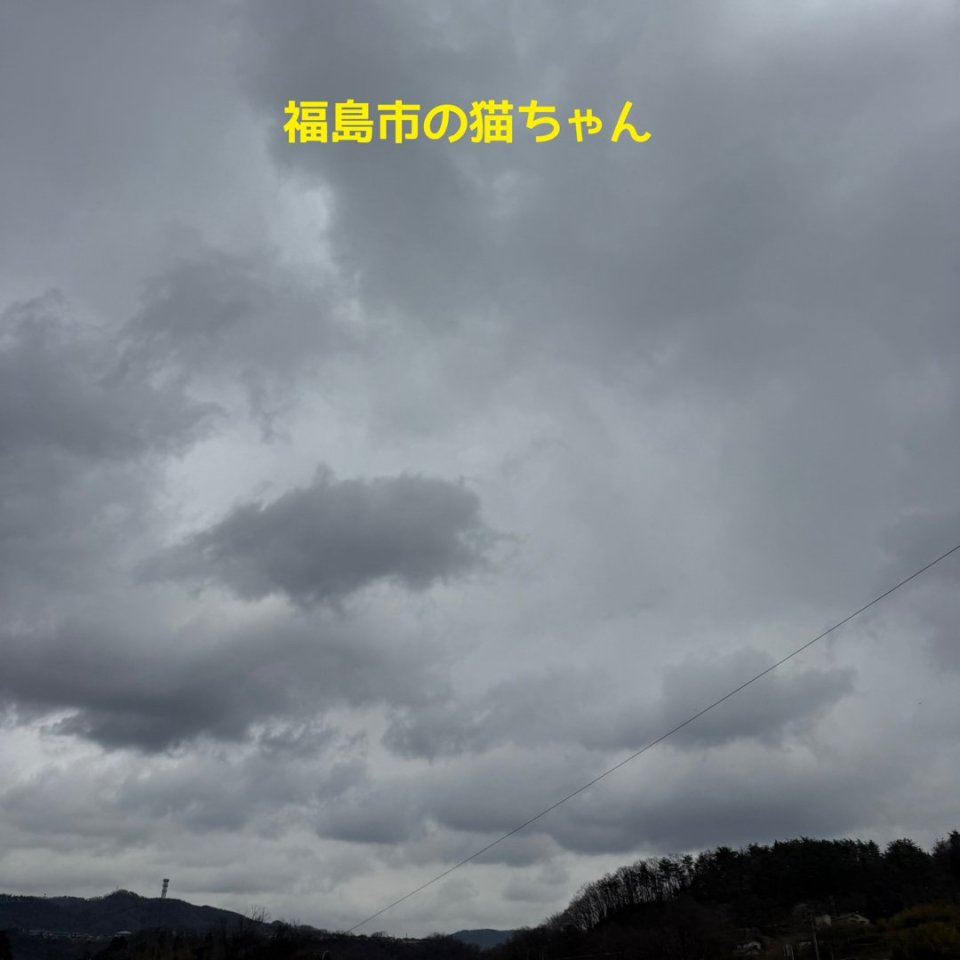 ペット訪問火葬 一縁(いちえん) | 福島市・葬儀・出張・供養