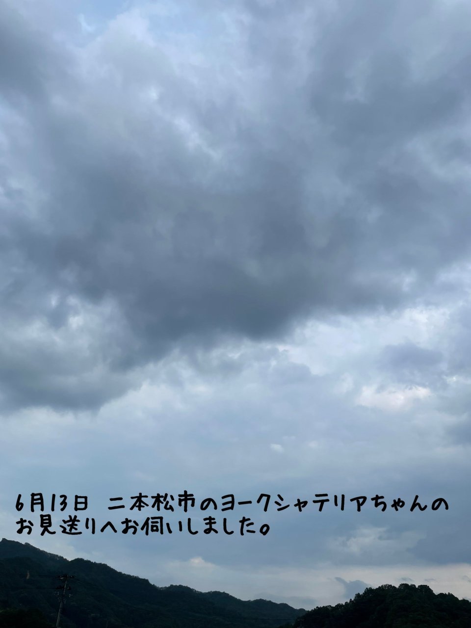 ペット訪問火葬 一縁(いちえん) | 福島市・葬儀・出張・供養