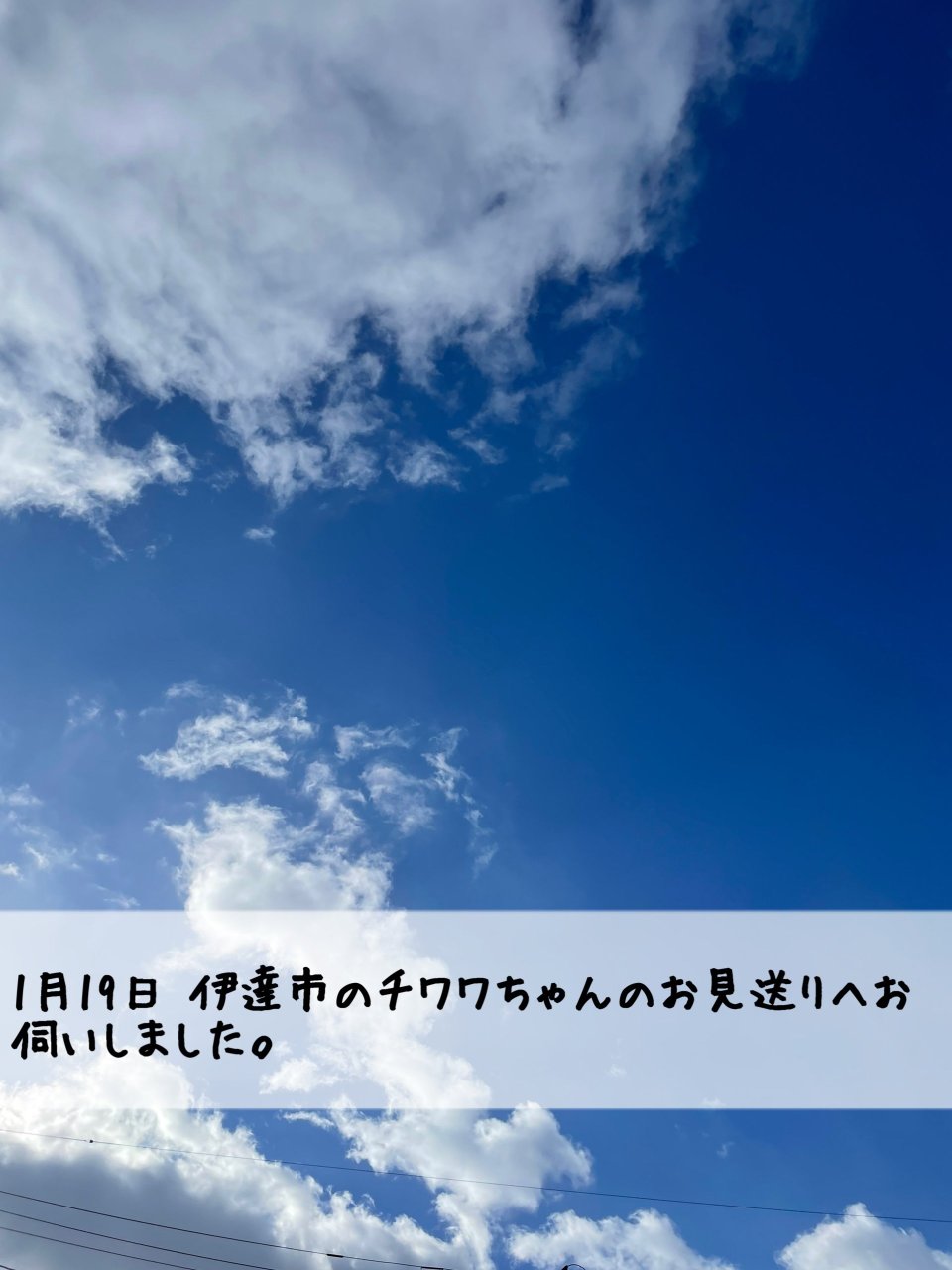 ペット訪問火葬 一縁(いちえん) | 福島市・葬儀・出張・供養