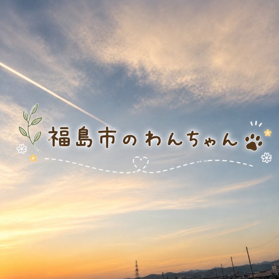 福島ペット訪問火葬 一縁(いちえん) | 葬儀・出張・供養